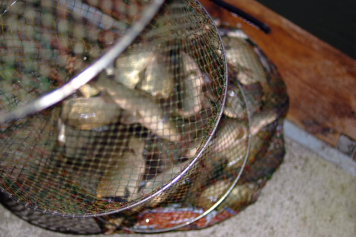 DSCF5952.JPG