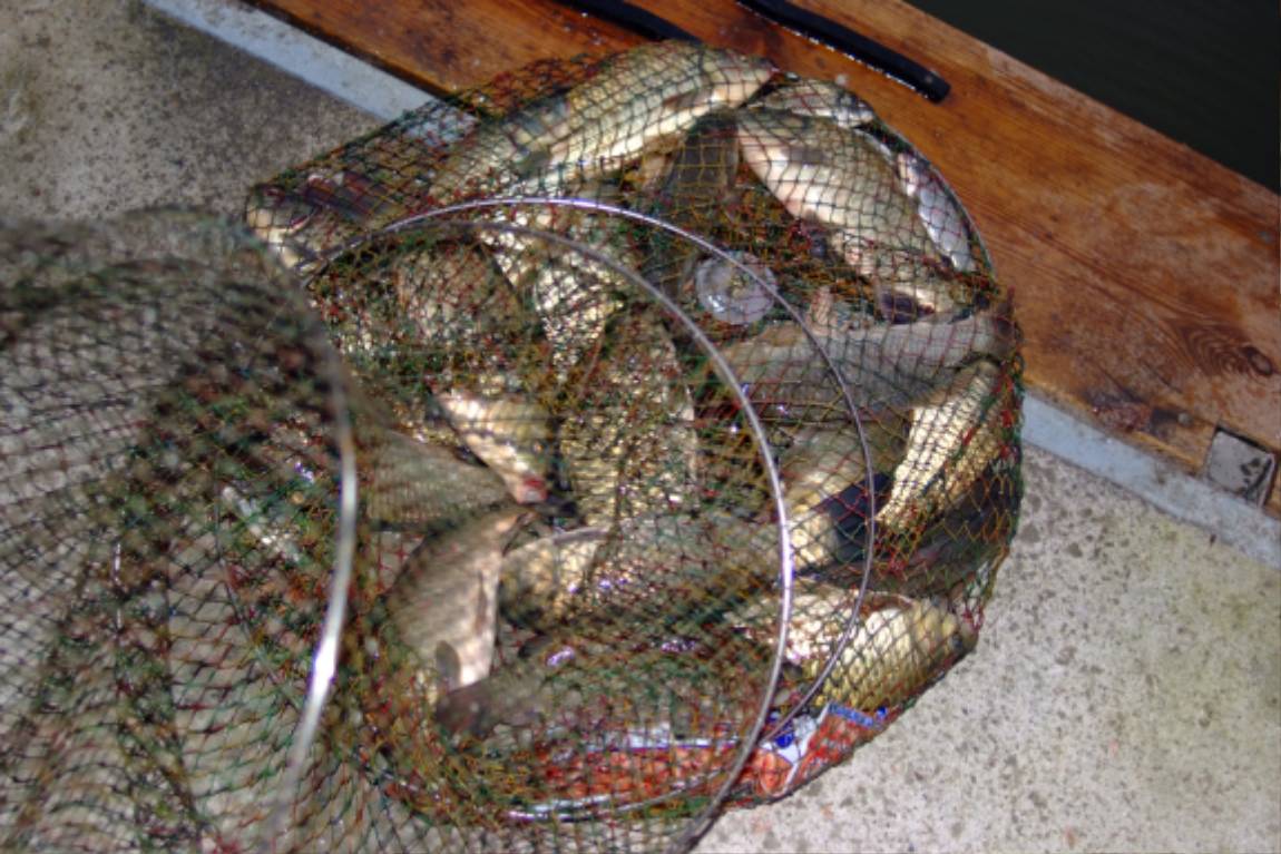 DSCF5953.JPG