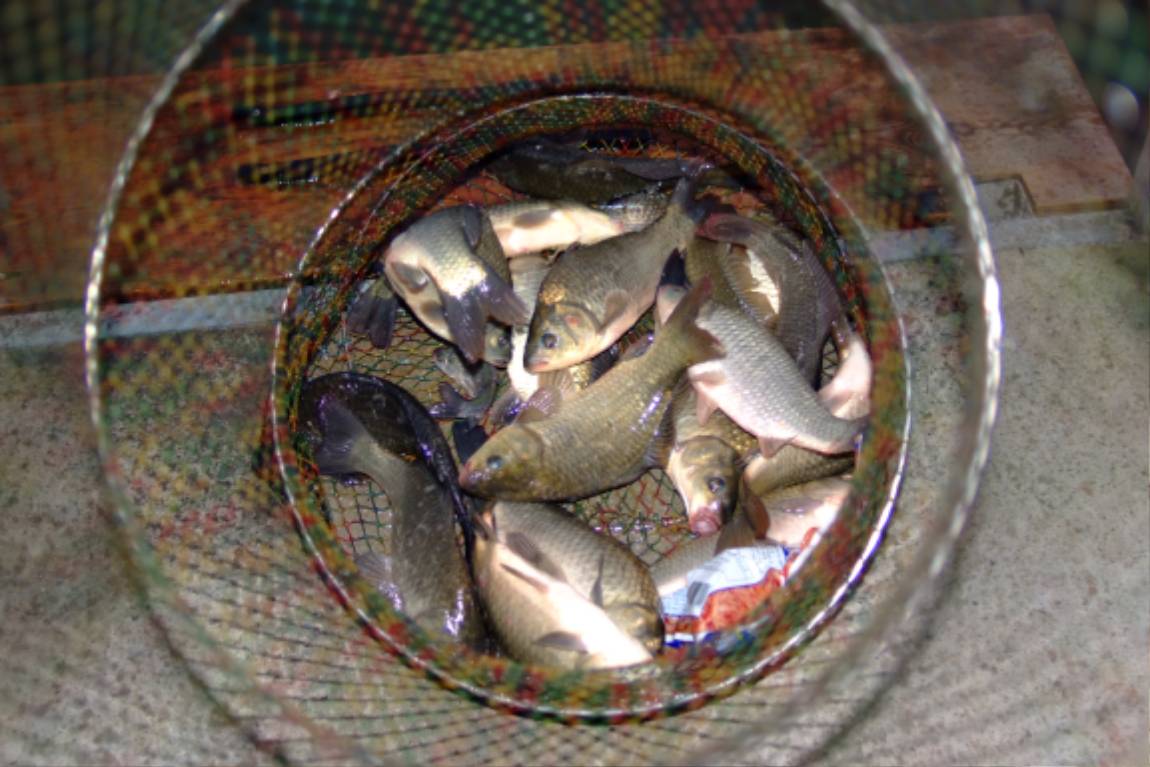 DSCF5954.JPG
