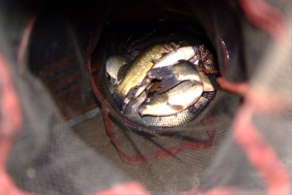 DSCF5950.JPG