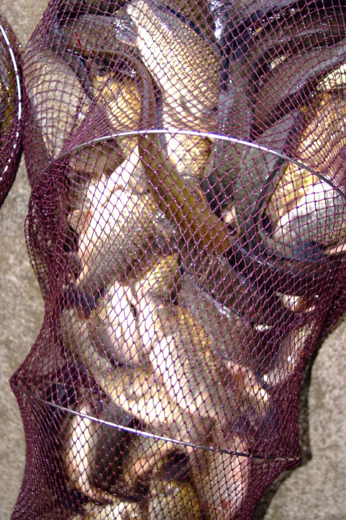 DSCF5989.JPG
