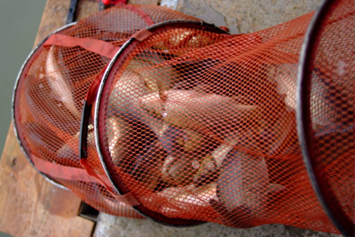 DSCF6019.JPG
