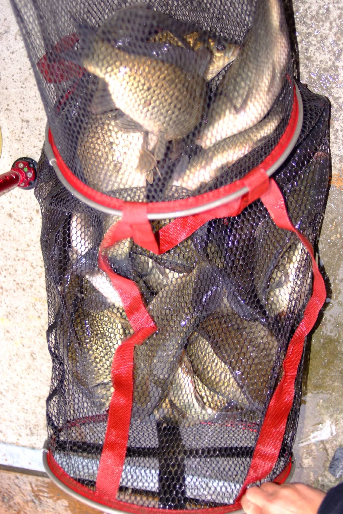 DSCF5979.JPG