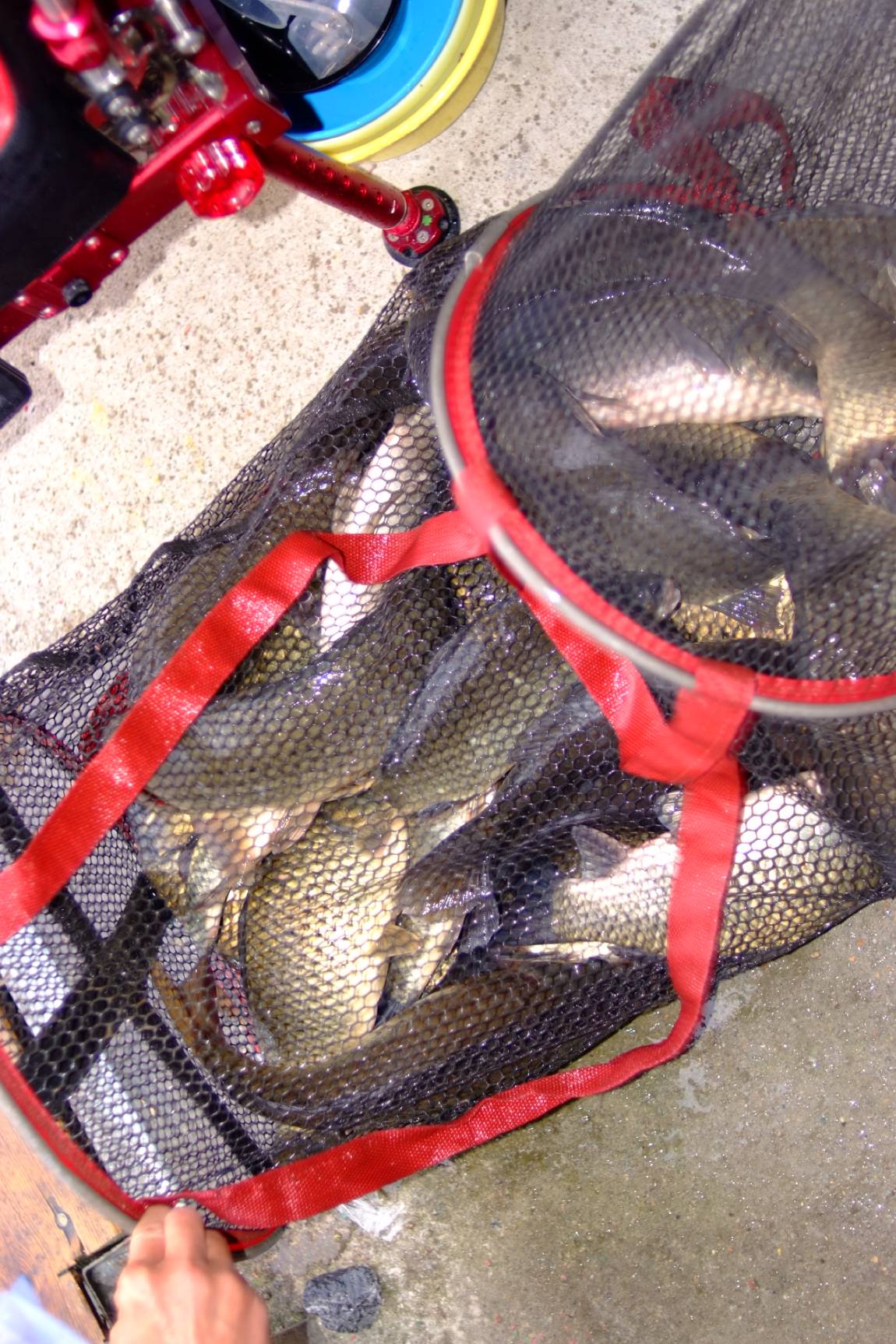 DSCF5980.JPG
