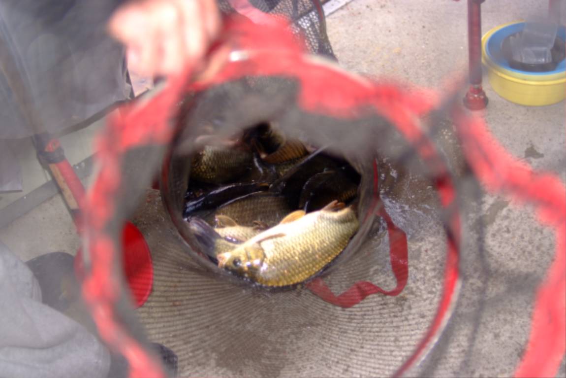 DSCF5981.JPG