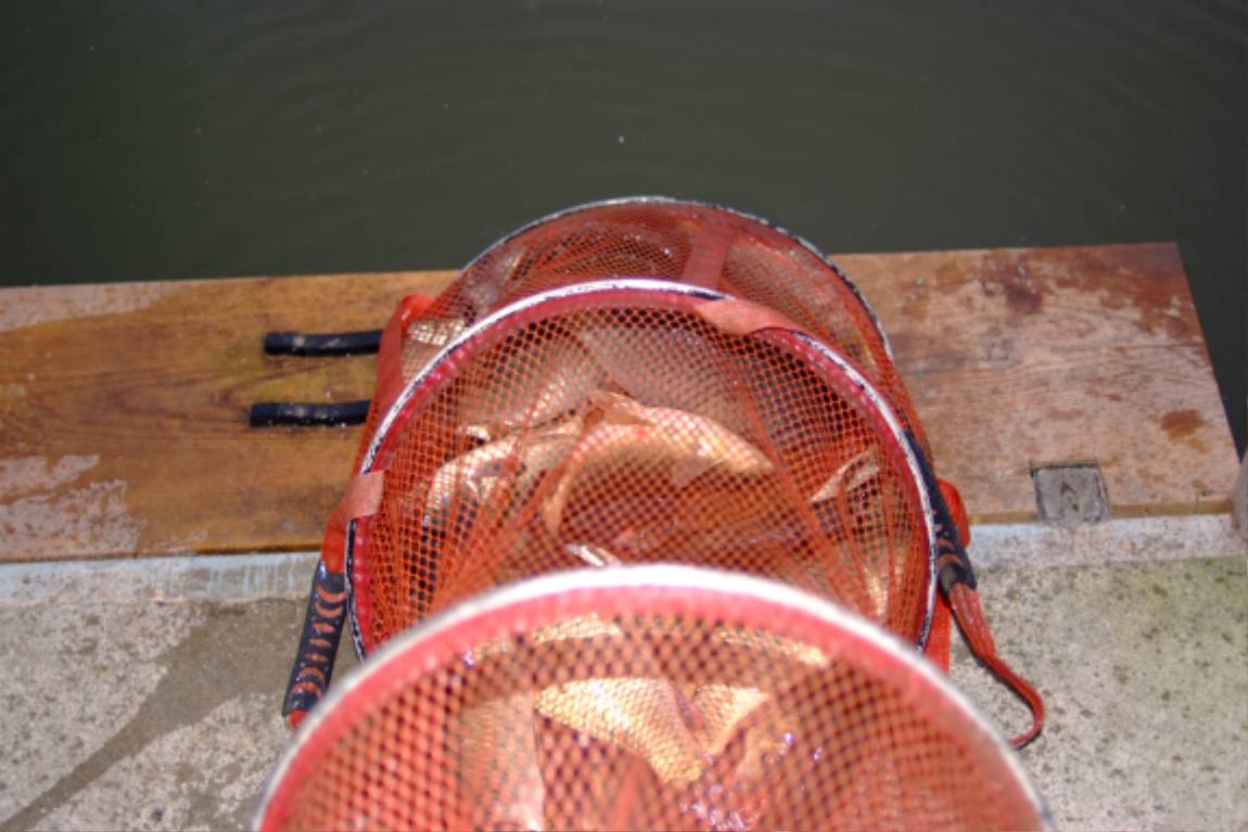 DSCF5962.JPG