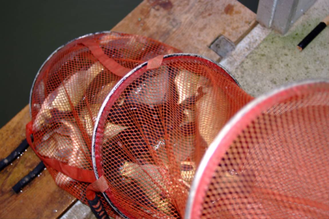 DSCF5964.JPG