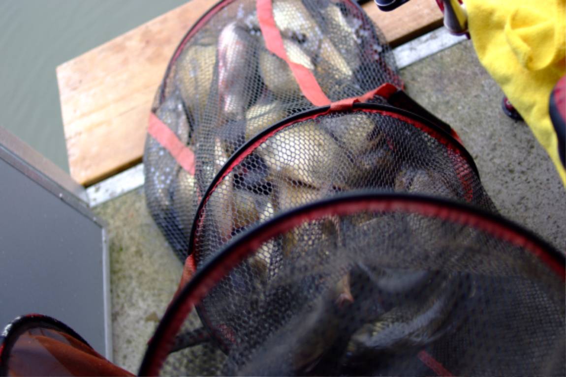 DSCF5995.JPG