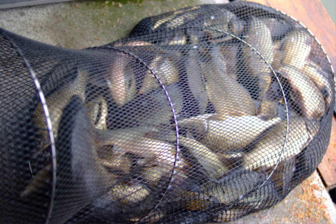 DSCF6015.JPG
