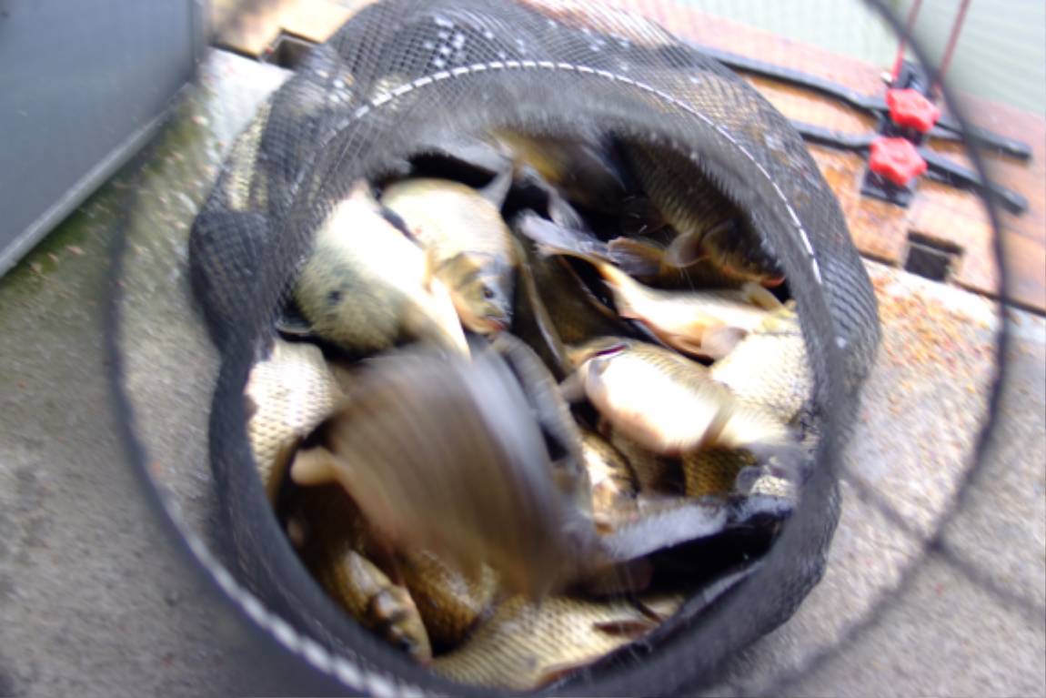DSCF6013.JPG