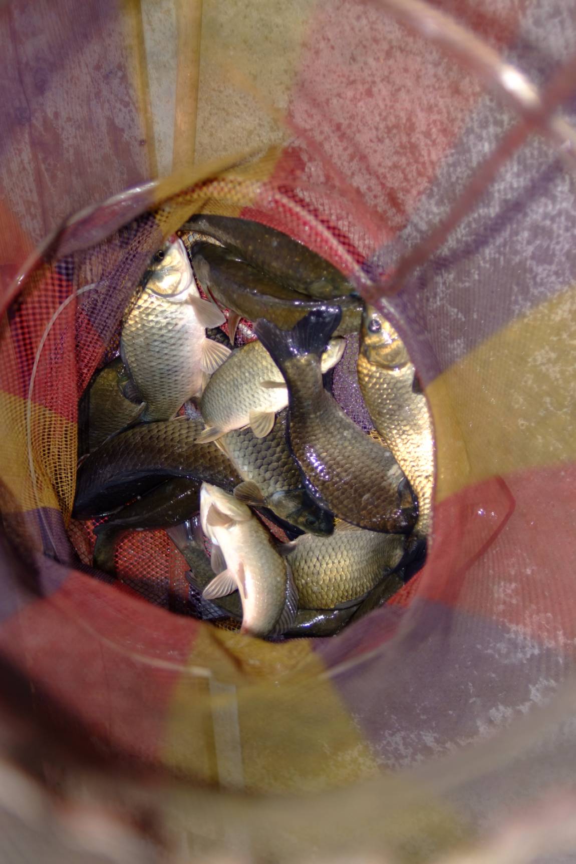 DSCF5956.JPG