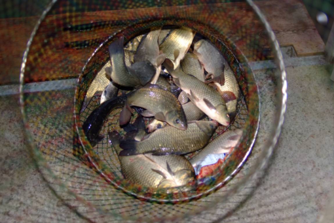 DSCF5955.JPG