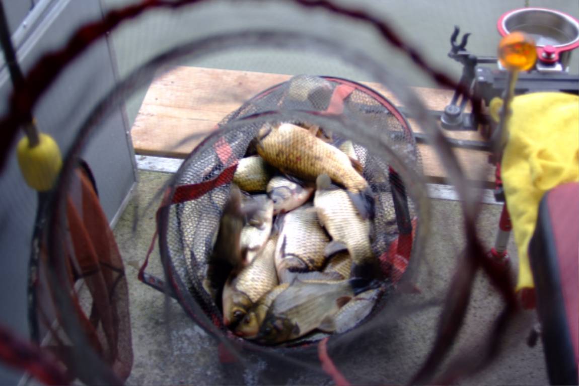 DSCF5997.JPG