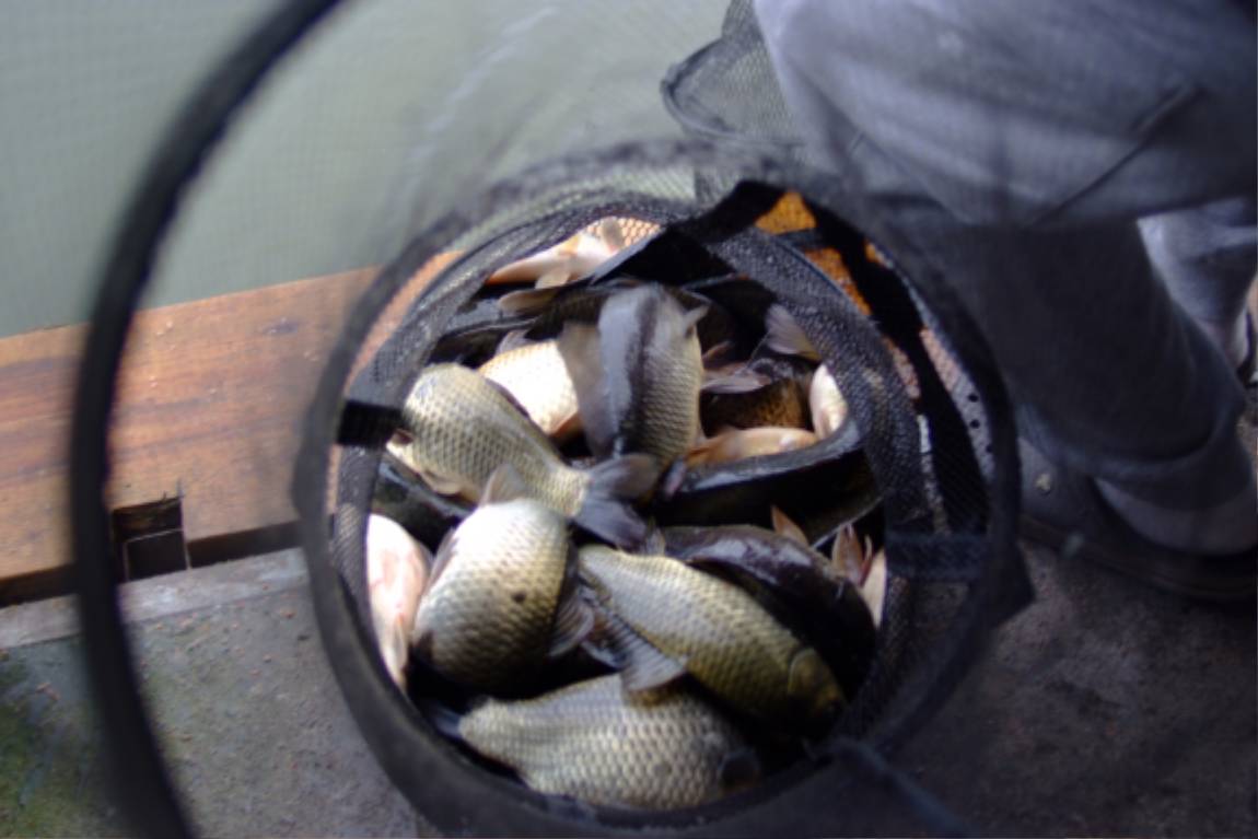 DSCF6003.JPG