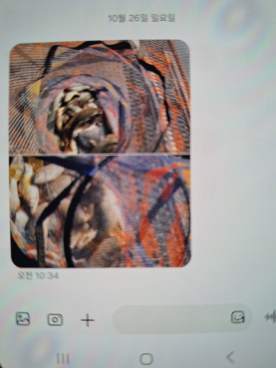 KakaoTalk_20251027_092835126.jpg