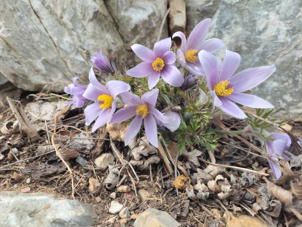 20240322_145905 (5).jpg