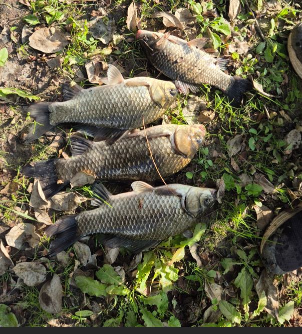 화면 캡처 2025-10-30 113817.png