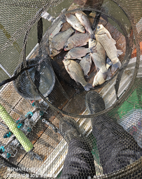 화면 캡처 2025-10-30 112453.png