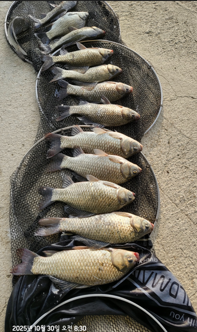 화면 캡처 2025-10-30 112229.png