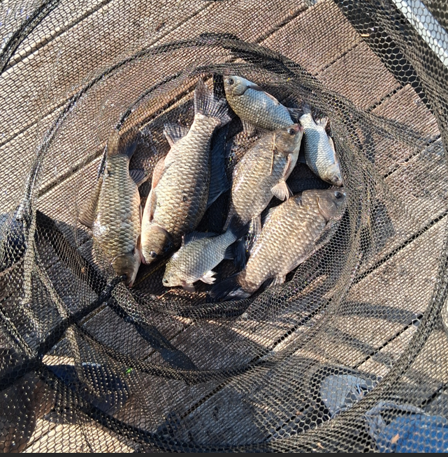 화면 캡처 2025-10-30 112405.png