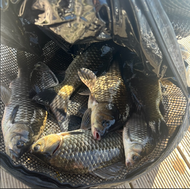 화면 캡처 2025-10-30 112145.png