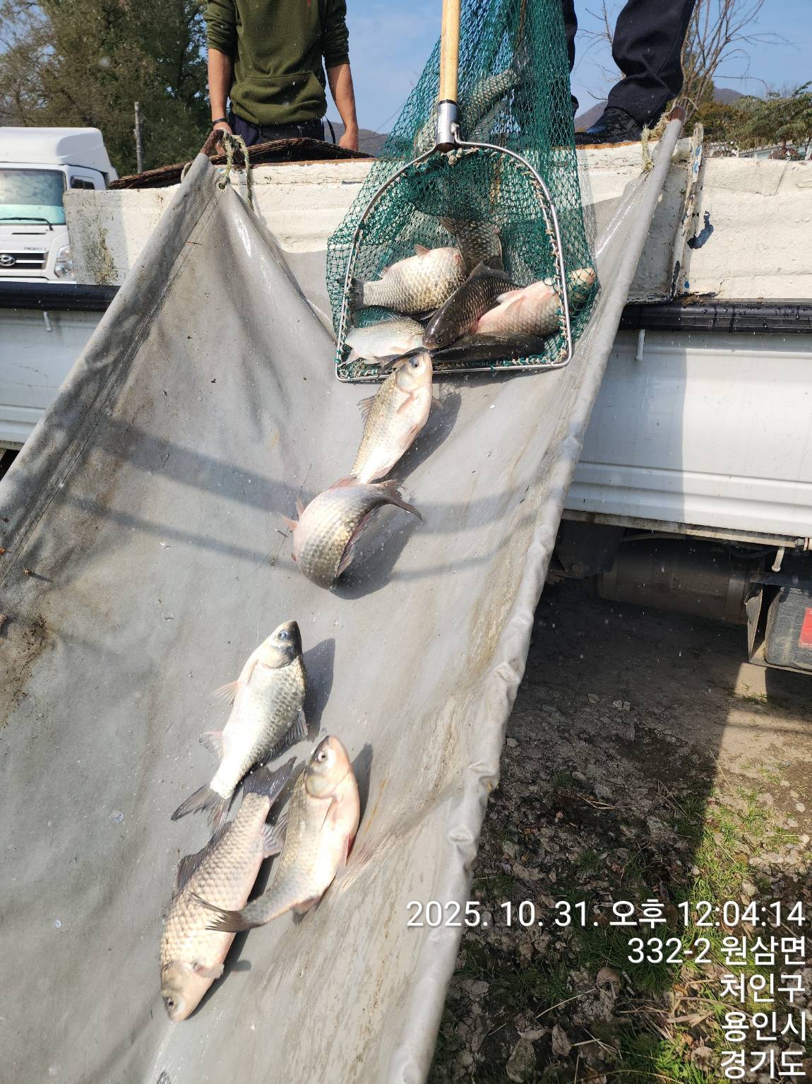 Resized_TimePhoto_20251031_120414 (1).jpeg