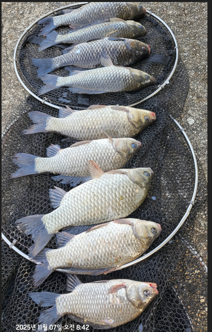 화면 캡처 2025-11-07 133505.png