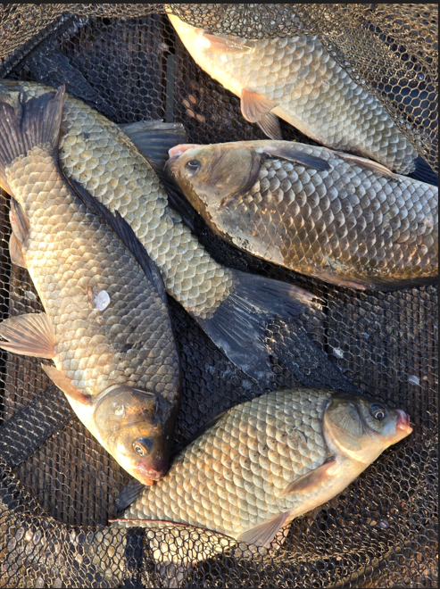 화면 캡처 2025-11-07 134001.png