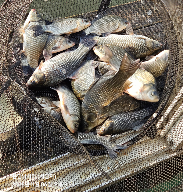 화면 캡처 2025-11-07 131740.png