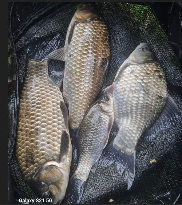 화면 캡처 2025-11-07 131924.png