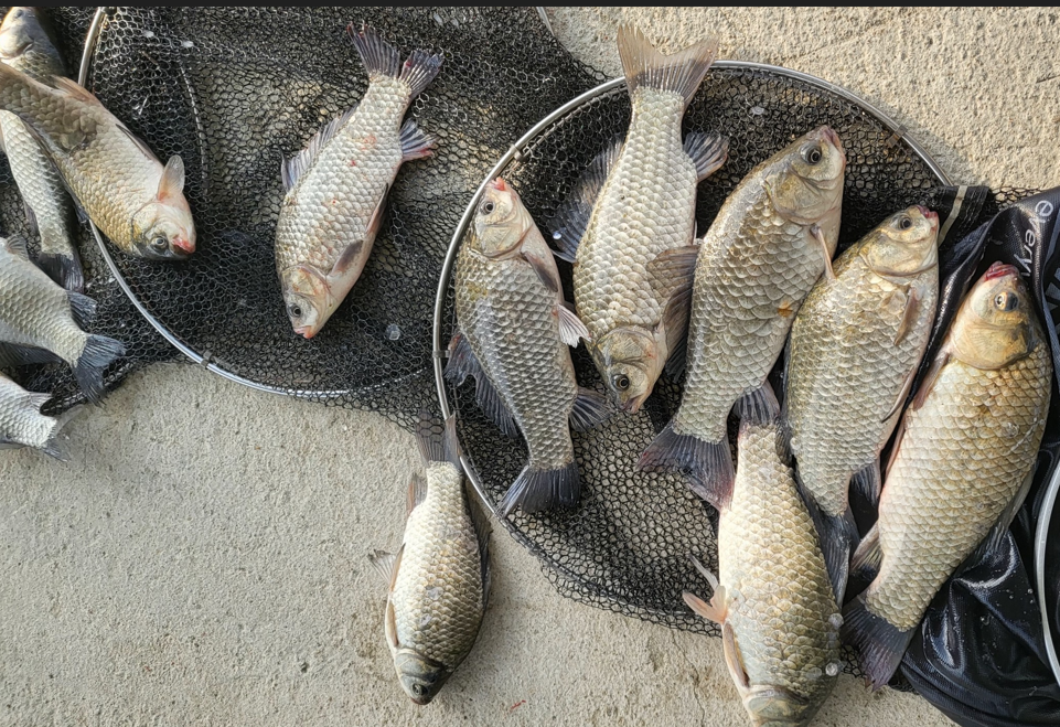 화면 캡처 2025-11-07 131639.png