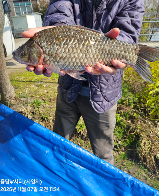 화면 캡처 2025-11-07 142308.png