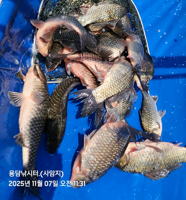 화면 캡처 2025-11-07 142446.png