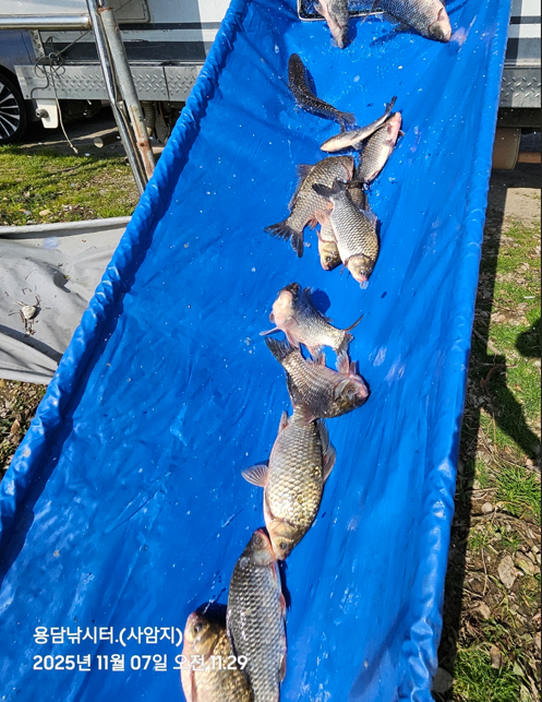 화면 캡처 2025-11-07 142406.png