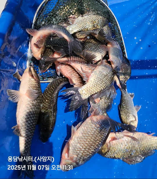 화면 캡처 2025-11-07 141735.png