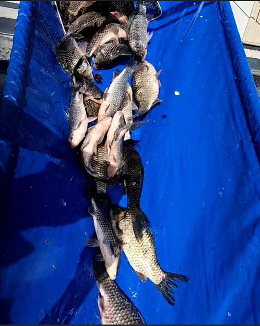 화면 캡처 2025-11-07 141906.png