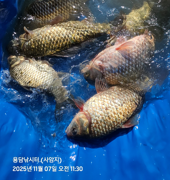 화면 캡처 2025-11-07 141803.png