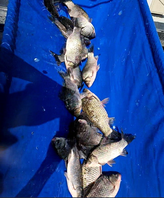 화면 캡처 2025-11-07 141834.png