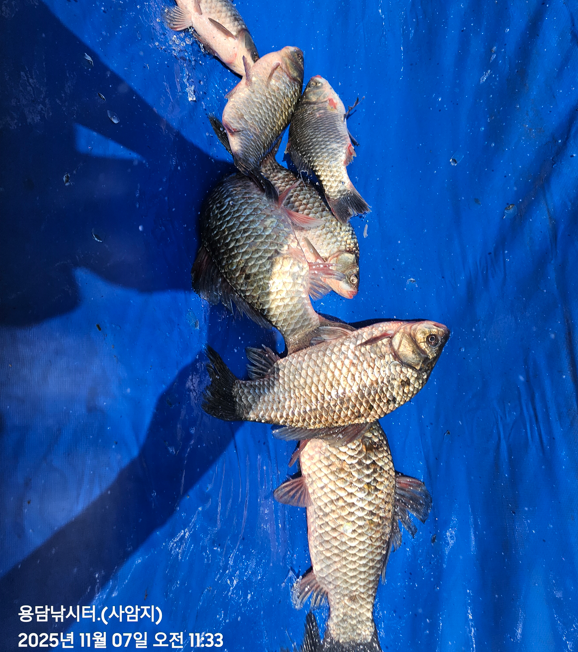 화면 캡처 2025-11-07 141543.png