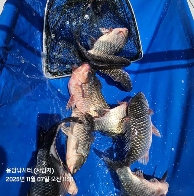 화면 캡처 2025-11-07 141621.png