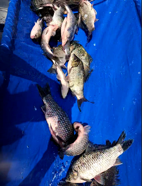 화면 캡처 2025-11-07 141504.png