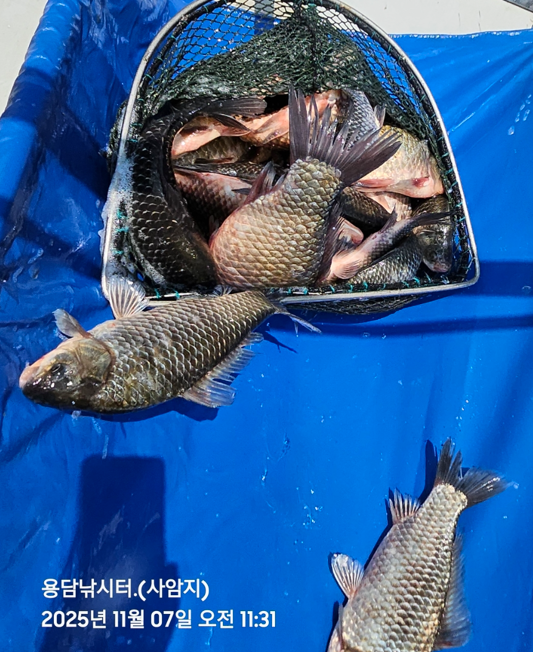 화면 캡처 2025-11-07 141704.png