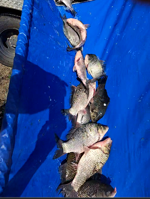 화면 캡처 2025-11-07 141429.png