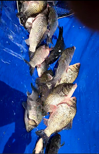 화면 캡처 2025-11-07 141358.png