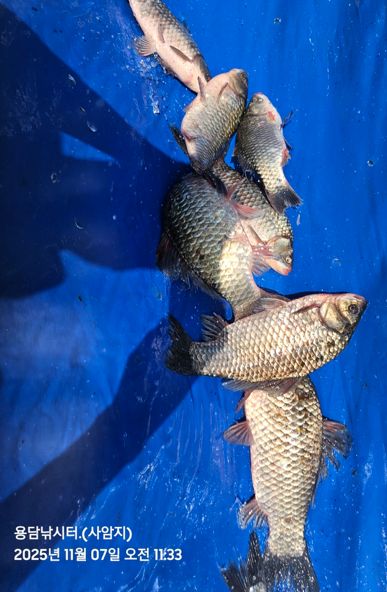 화면 캡처 2025-11-07 141328.png