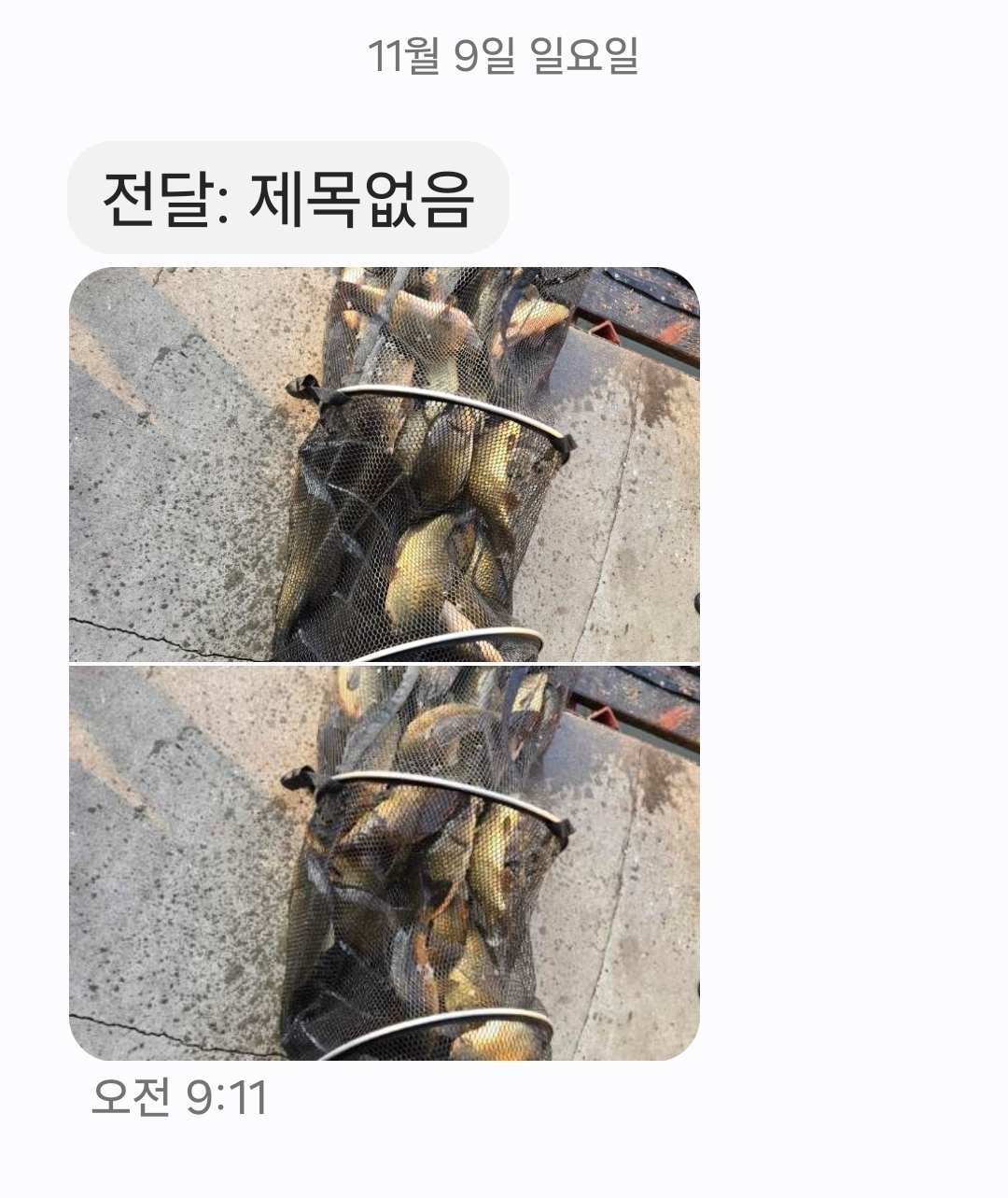 KakaoTalk_20251109_091706275.jpg