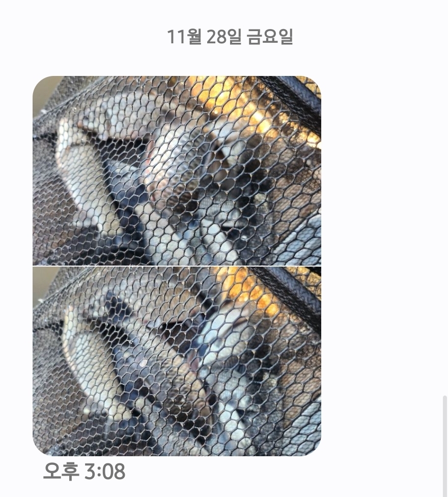 Screenshot_20251128_150926_Messages - ���纻.jpg