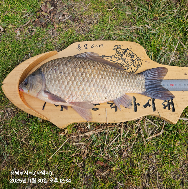 ȭ�� ĸó 2025-12-02 091752.png