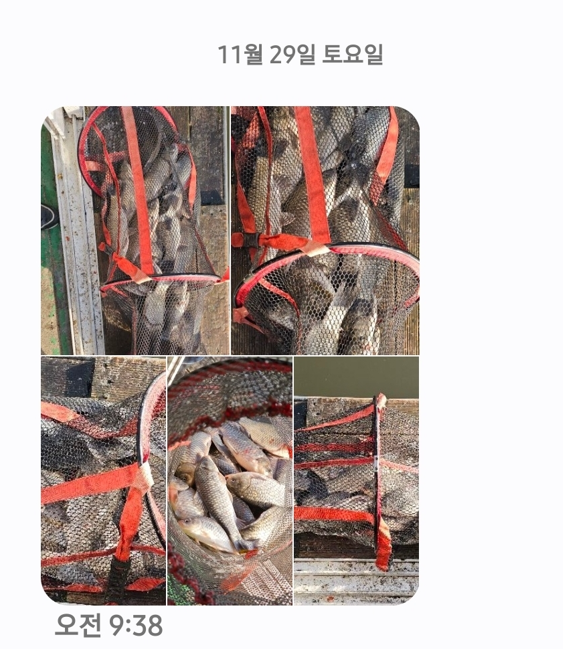 ȭ�� ĸó 2025-12-02 093226.png