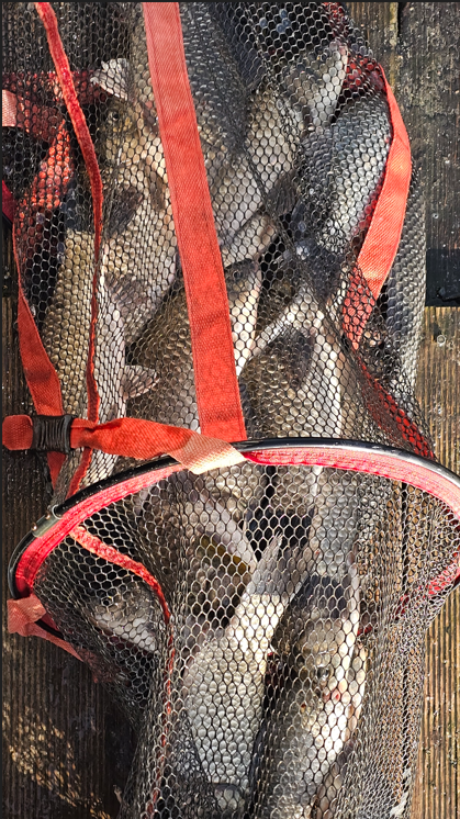 ȭ�� ĸó 2025-12-02 093410.png